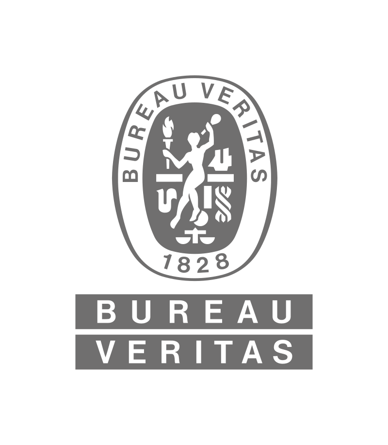 logo Bureau Veritas